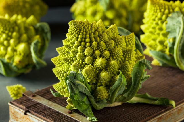 Exotic vegetables: 14 crops that We recommend growing