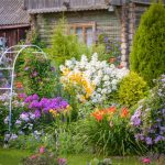 Evolving Paradigms: The 2024 Guide to Garden Trends to Try